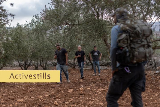 Olive harvest, Turmus Ayya, West Bank, 12.10.2026 Photographer: Avishay Mohar